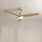 Ventilateur de Plafond Fonction réversible hiver 40W Silencieux Ø132 cm - Avec lumière et télécommande