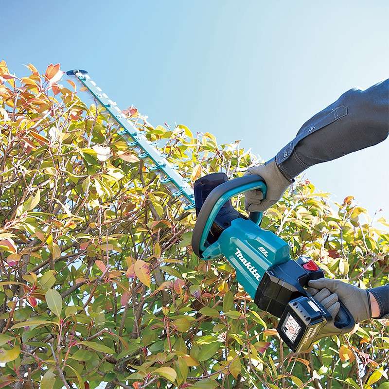 Taille-haie MAKITA DUH602SF 18V Li-Ion 60cm (1x3Ah)